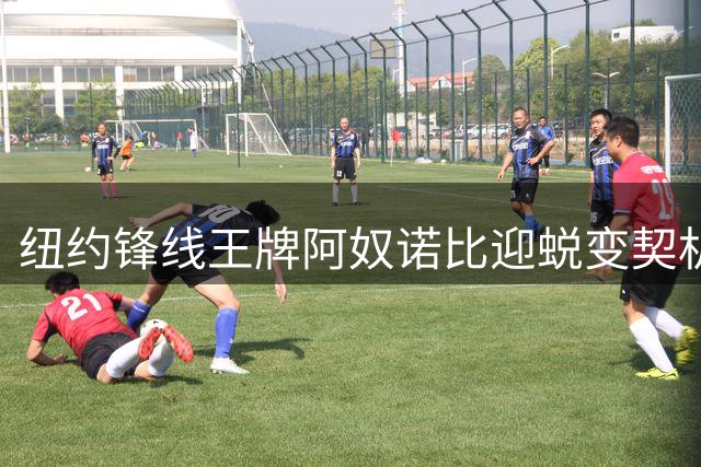 纽约锋线王牌阿奴诺比迎蜕变契机 专家看好其冲击生涯首度全明星