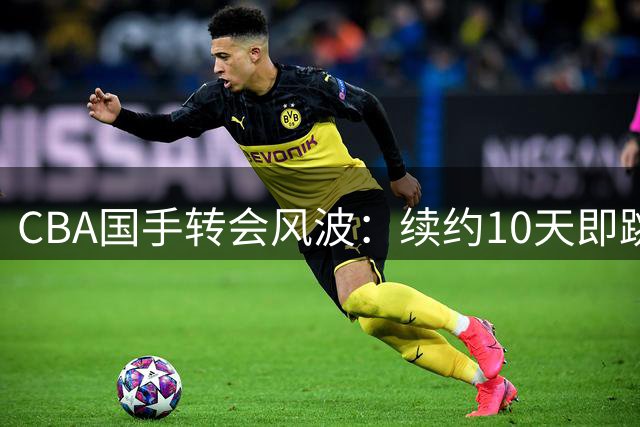 CBA国手转会风波：续约10天即跳槽 青岛跟队记者怒斥"契约精神何在